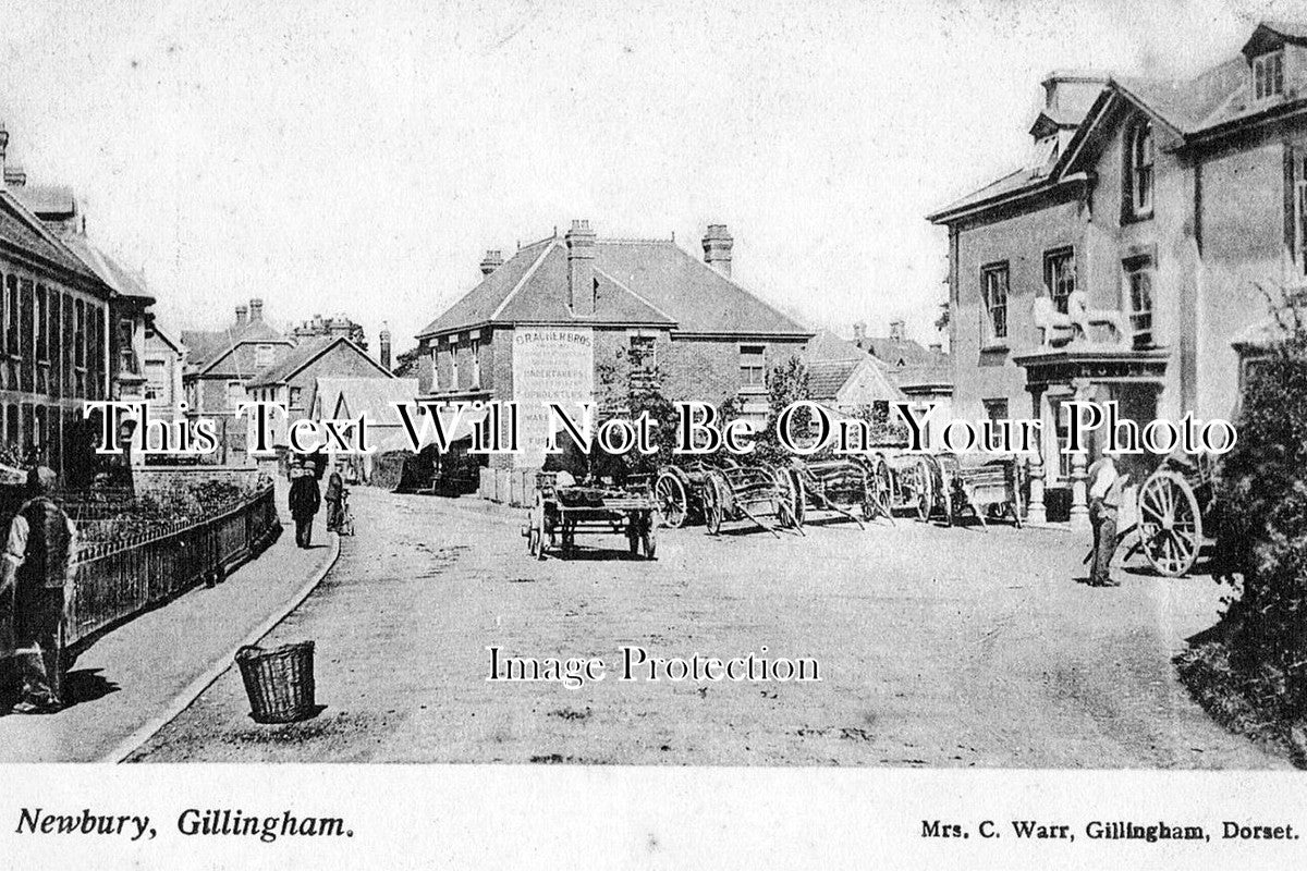 DO 520 - Newbury, Gillingham, Dorset c1910