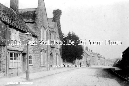 DO 541 - Newlands, Sherborne, Dorset c1905