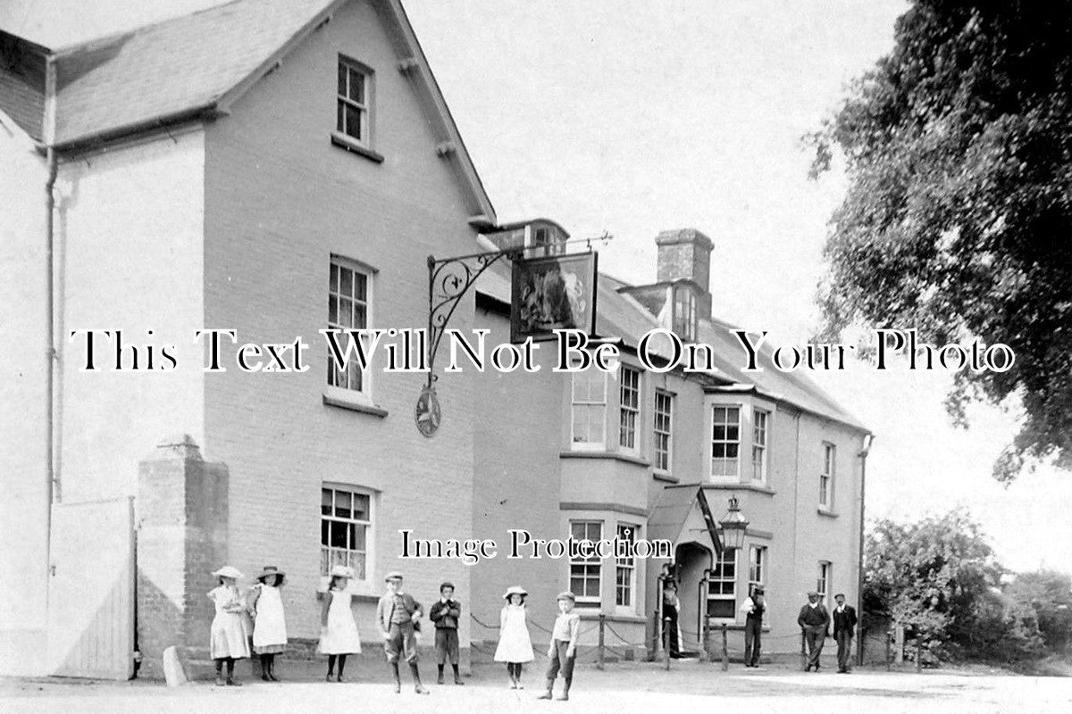 DO 731 - The Kings Arms, Puddletown, Dorset c1905