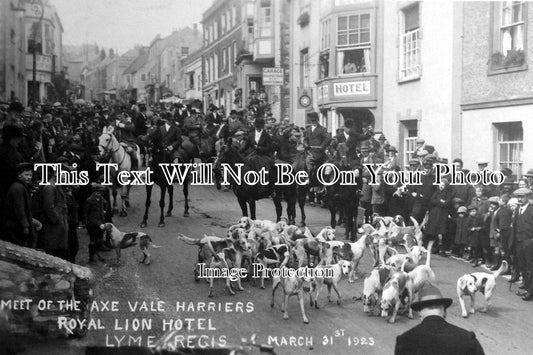 DO 9 - Meet Of Vale Harriers, Hunt, Lyme Regis, Dorset, 1923