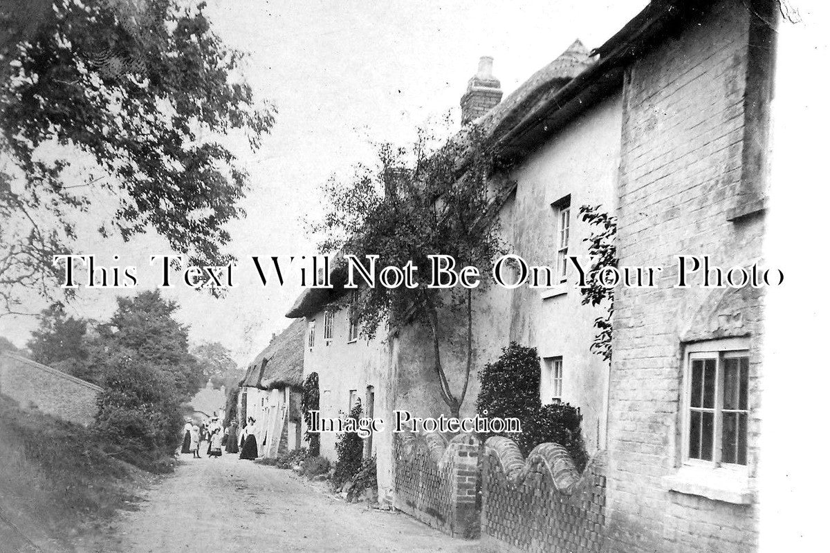 DO 976 - New Street, Puddletown, Dorset c1905