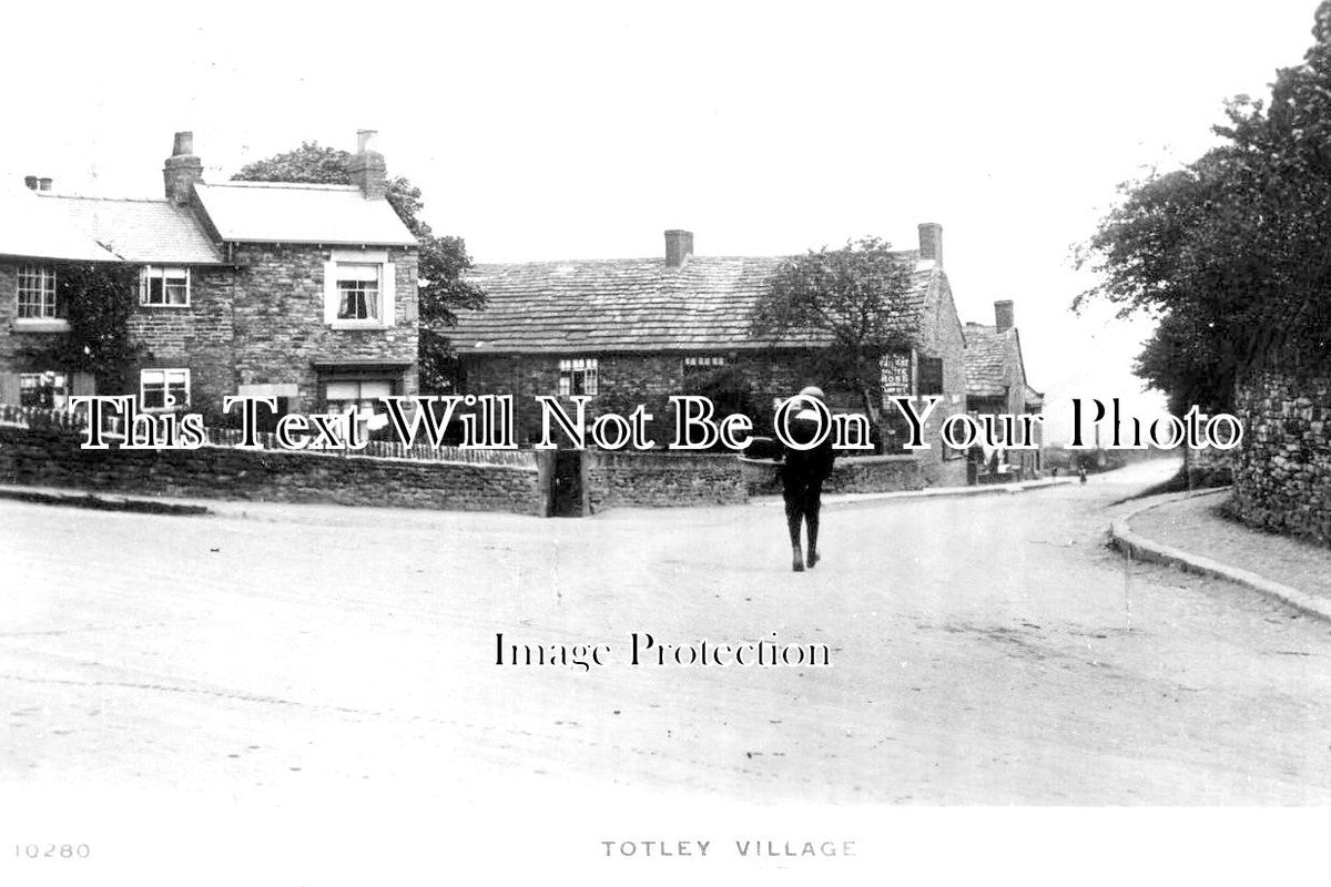 DR 1130 - Totley Village, Derbyshire c1915