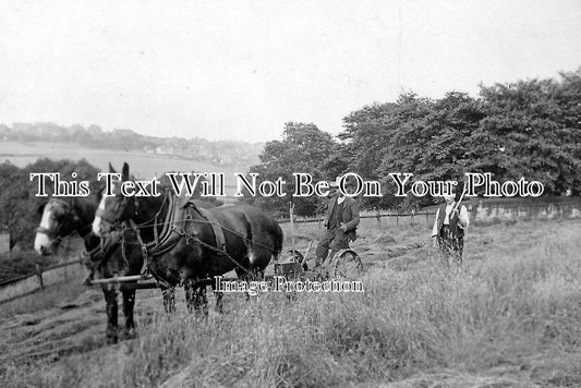 DR 130 - Hay Mowing, Chapel En Le Frith, Derbyshire