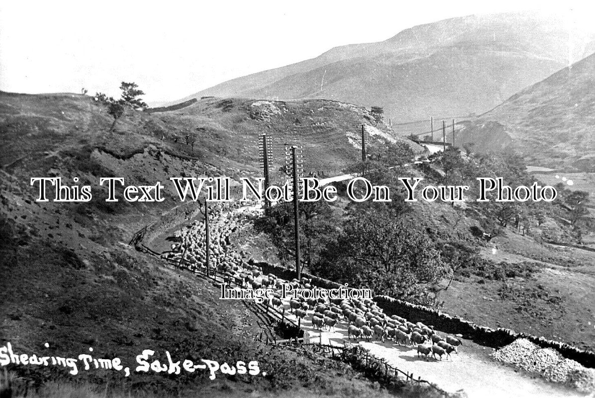 DR 2212 - Shearing Time, Snake Pass, Derbyshire c1921