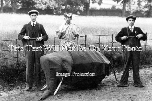 DR 2328 - The Ashbourne Carnival Elephant, Ashbourne, Derbyshire c1911