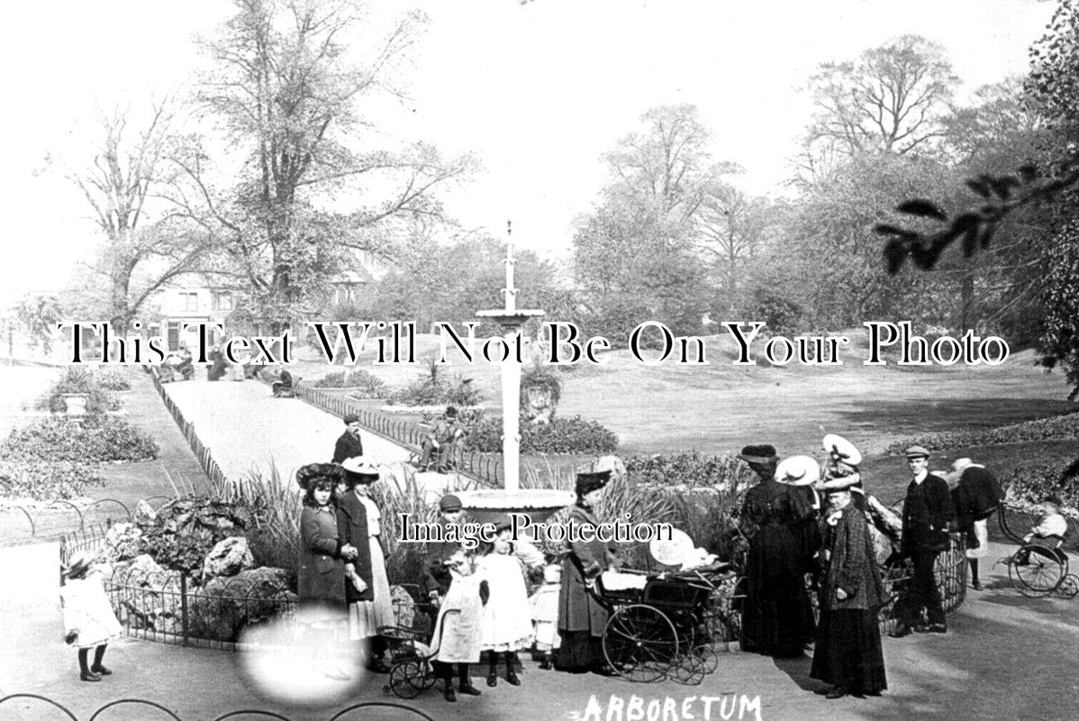 DR 2703 - Abboretum, Derby, Derbyshire c1907