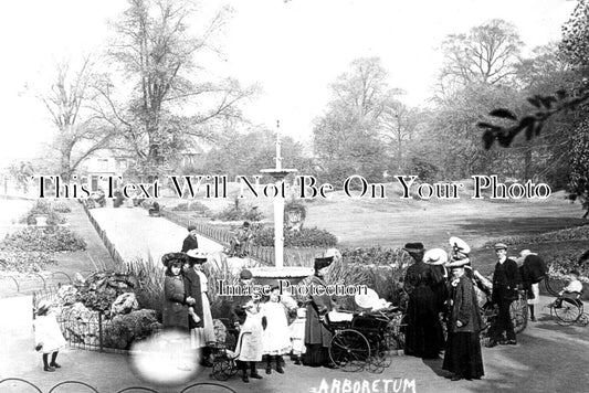 DR 2703 - Abboretum, Derby, Derbyshire c1907