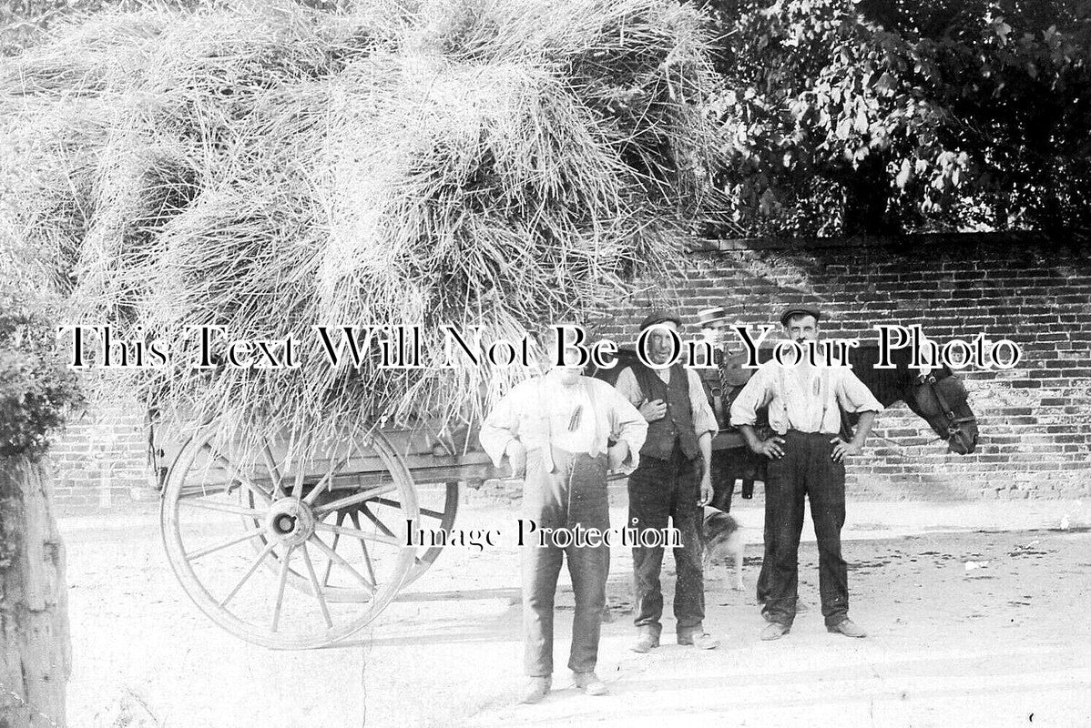 DR 3067 - Pope Carr Gardens, Matlock, Derbyshire c1912