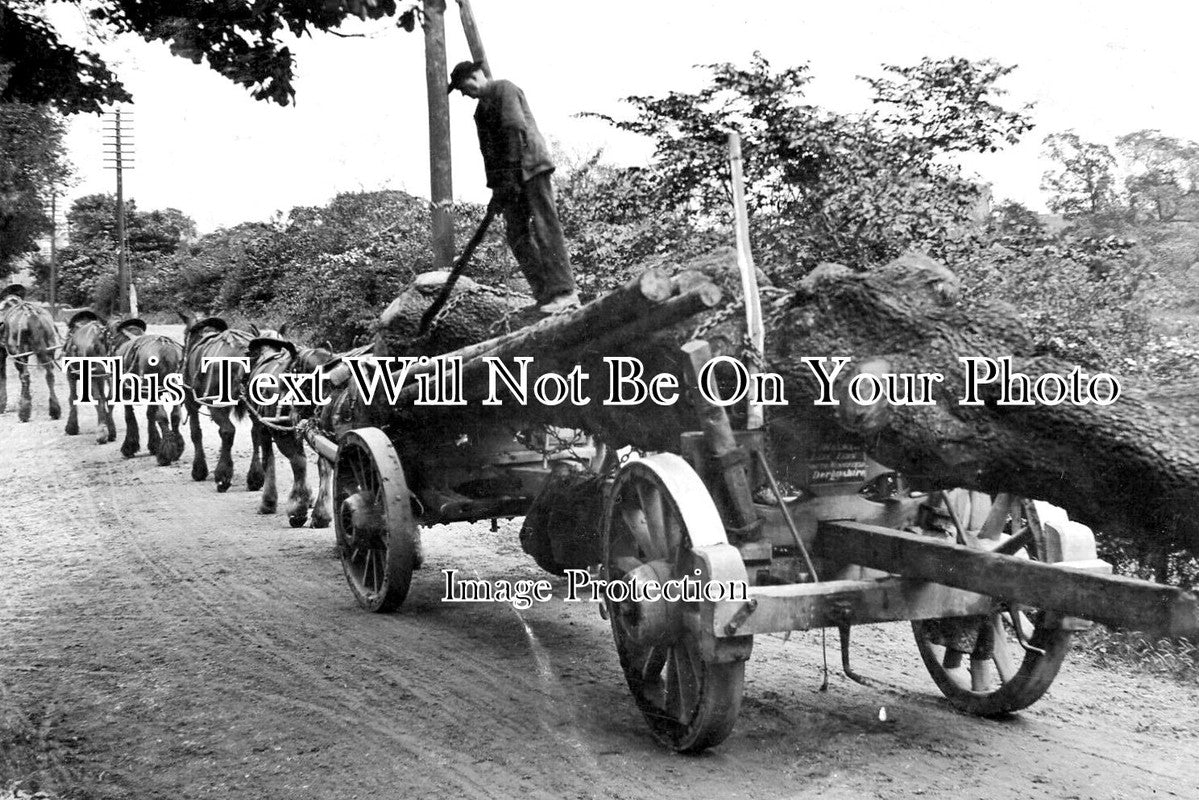 DR 3315 - Charles Walker Hauling Timber, Lane Farm, South Wingfield c1907