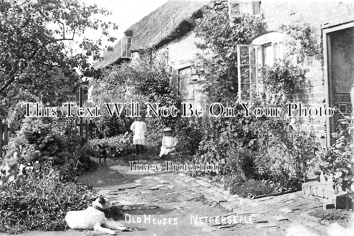 DR 3568 - Old Houses, Netherseal, Derbyshire c1908