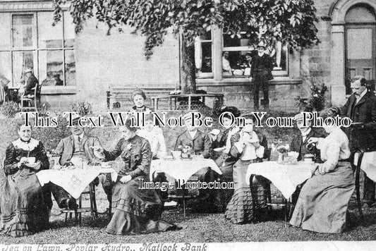 DR 545 - Matlock Bank, Tea On Lawn, Poplar Hydro, Derbyshire c1905