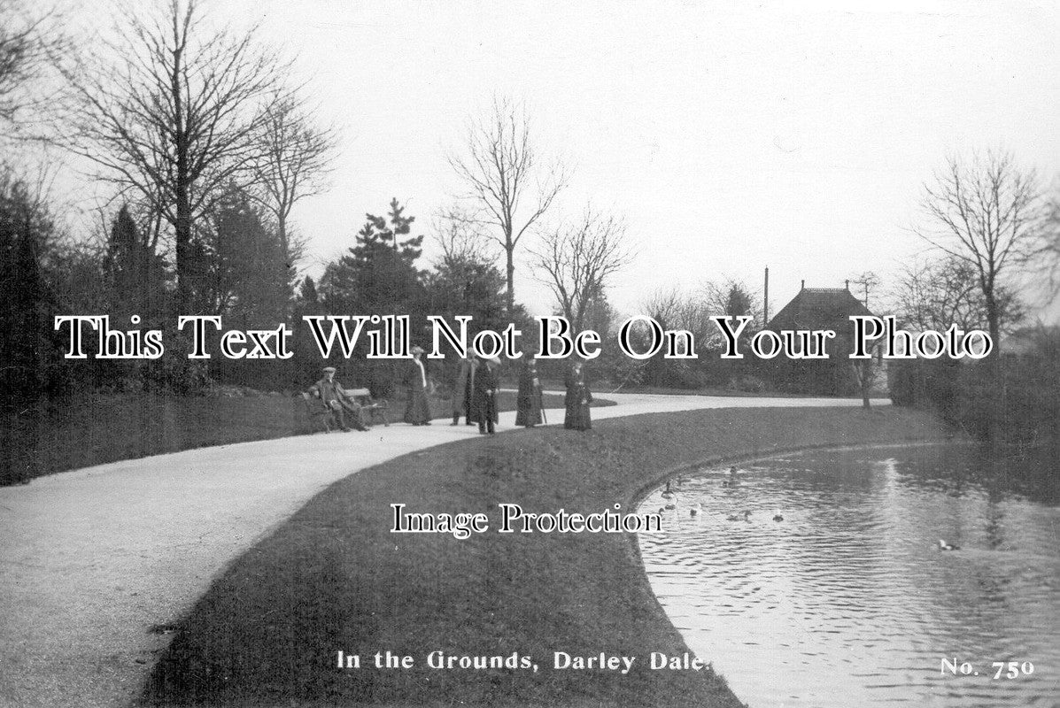 DR 782 - In The Grounds, Darley Dale, Derby, Derbyshire c1915