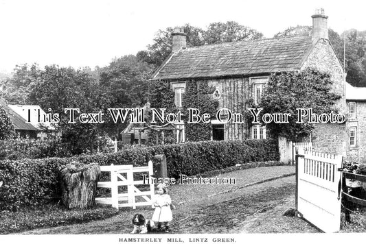 DU 1134 - Hamsterley Mill, Lintz Green, County Durham c1913