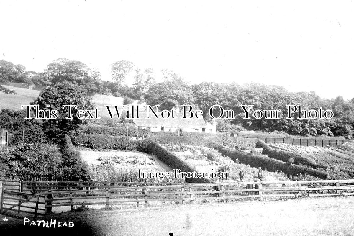 DU 1194 - Path Head Allotments, Blaydon On Tyne, Gateshead, Durham c1906