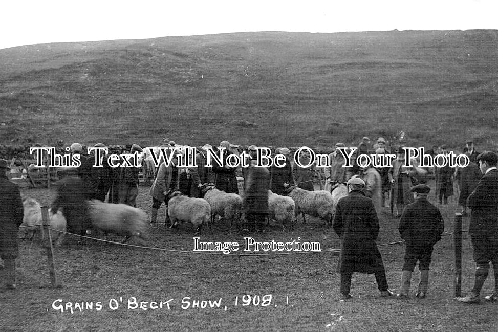 DU 1297 - Grains O Beck Show, Middleton In Teesdale, County Durham 1908