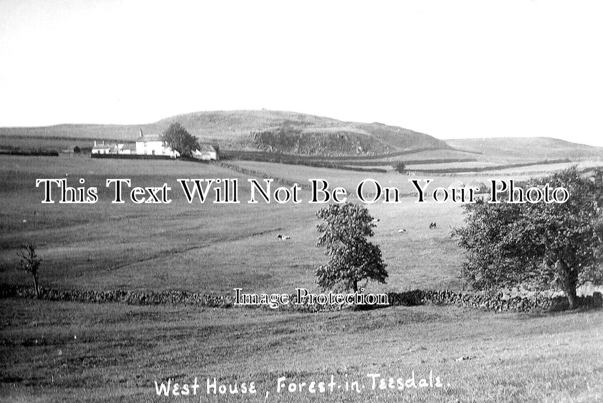 DU 1479 - West House Forest In Teesdale, County Durham c1910