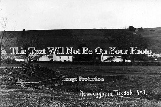 DU 179 - Newbiggin Village, Teesdale, County Durham c1915