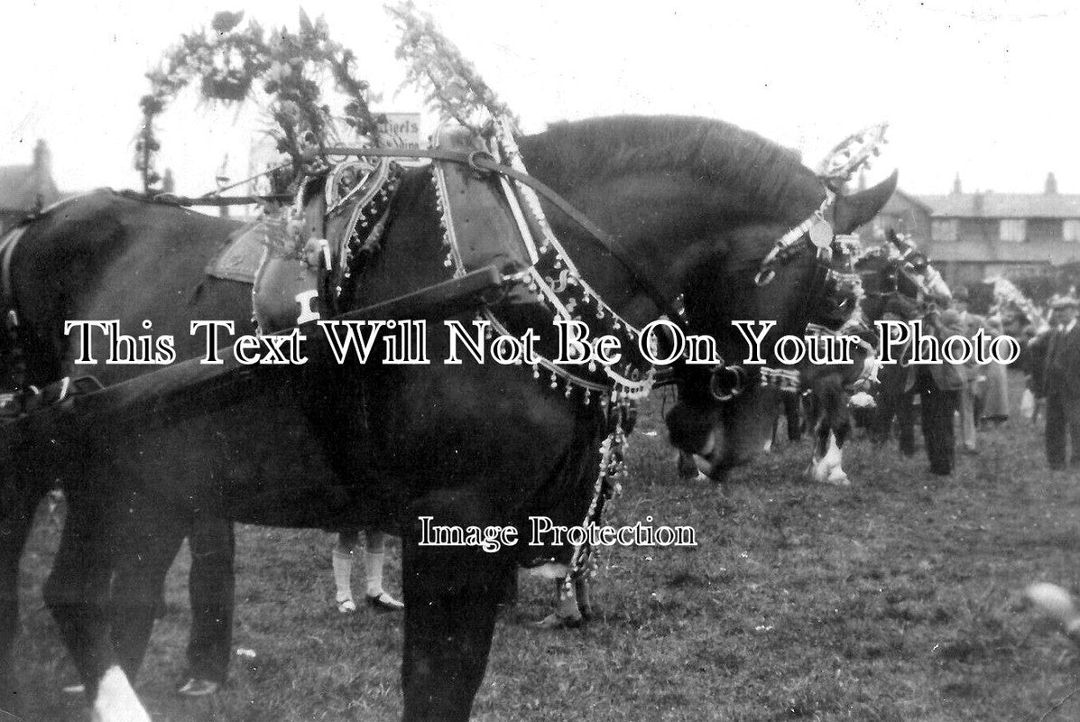 DU 1858 - Jan Horse Parade, Darlington, County Durham c1930