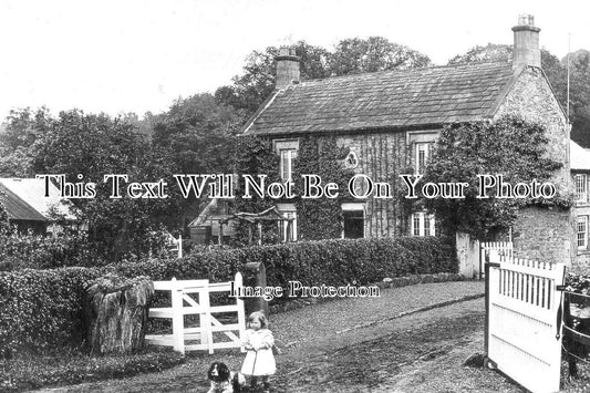 DU 1952 - Hamsterley Mill, Lintz Green, Rowlands Gill, County Durham c1912