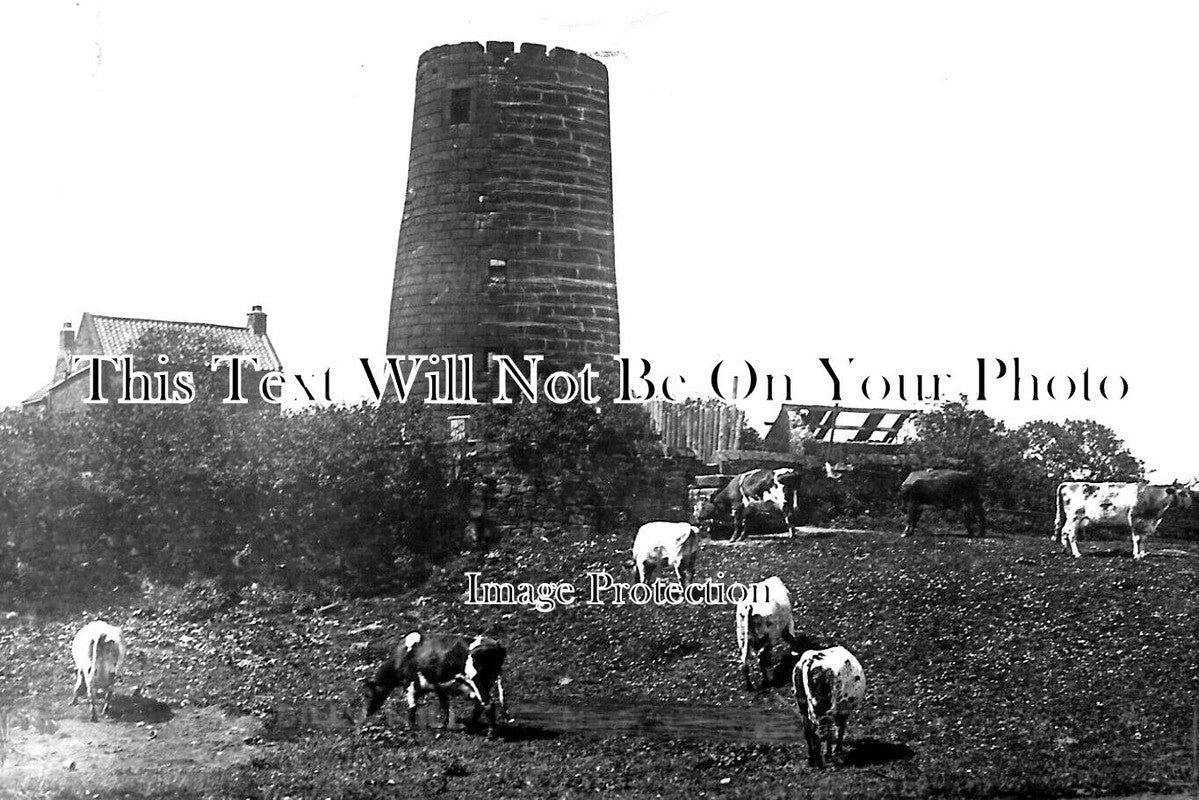 DU 2135 - Windmill, Northumberland, North Shields, County Durham