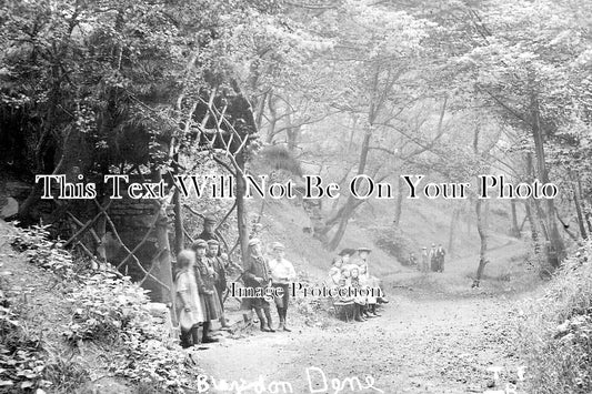 DU 2467 - Blaydon Dene, County Durham c1905