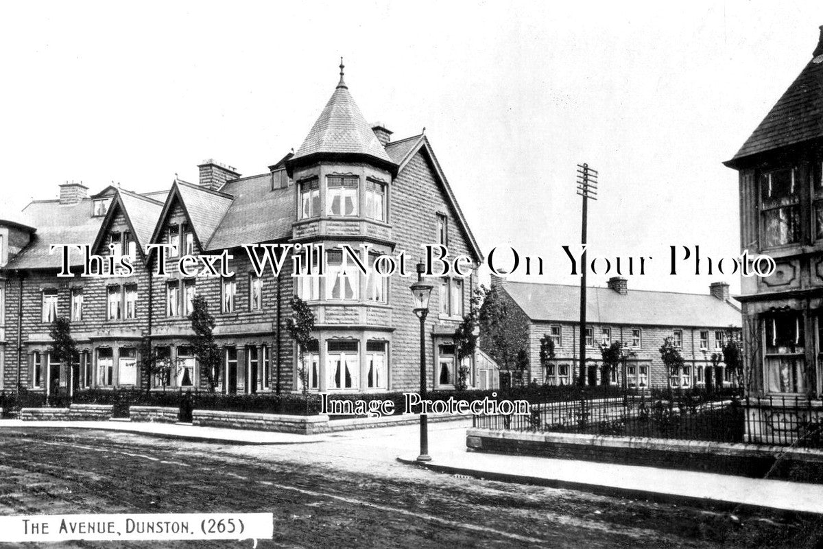 DU 2696 - The Avenue, Dunston, County Durham c1917