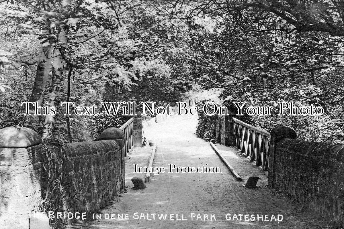 DU 2811 - Bridge In Dene Saltwell Park, Gateshead, County Durham