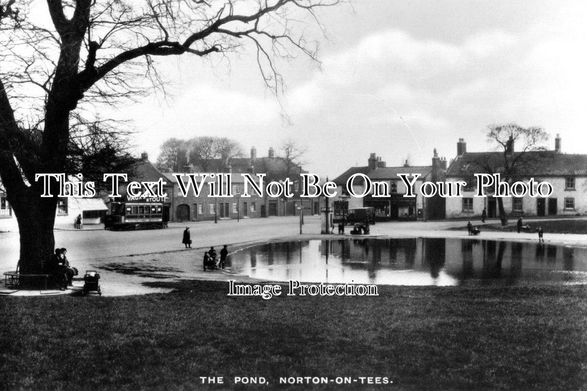 DU 351 - The Pond, Norton, Stockton On Tees, County Durham