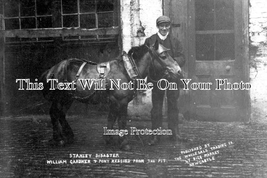 DU 461 - Rescued Pit Pony, Stanley Pit Disaster, County Durham c1909