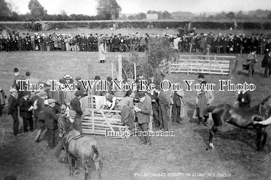 DU 674 - Pig Stealing Competition, Gainfor Show, County Durham c1905