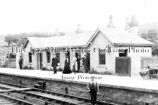 DU 733 - Wearhead Railway Station, Stanhope, Bishop Auckland, County Durham c1905