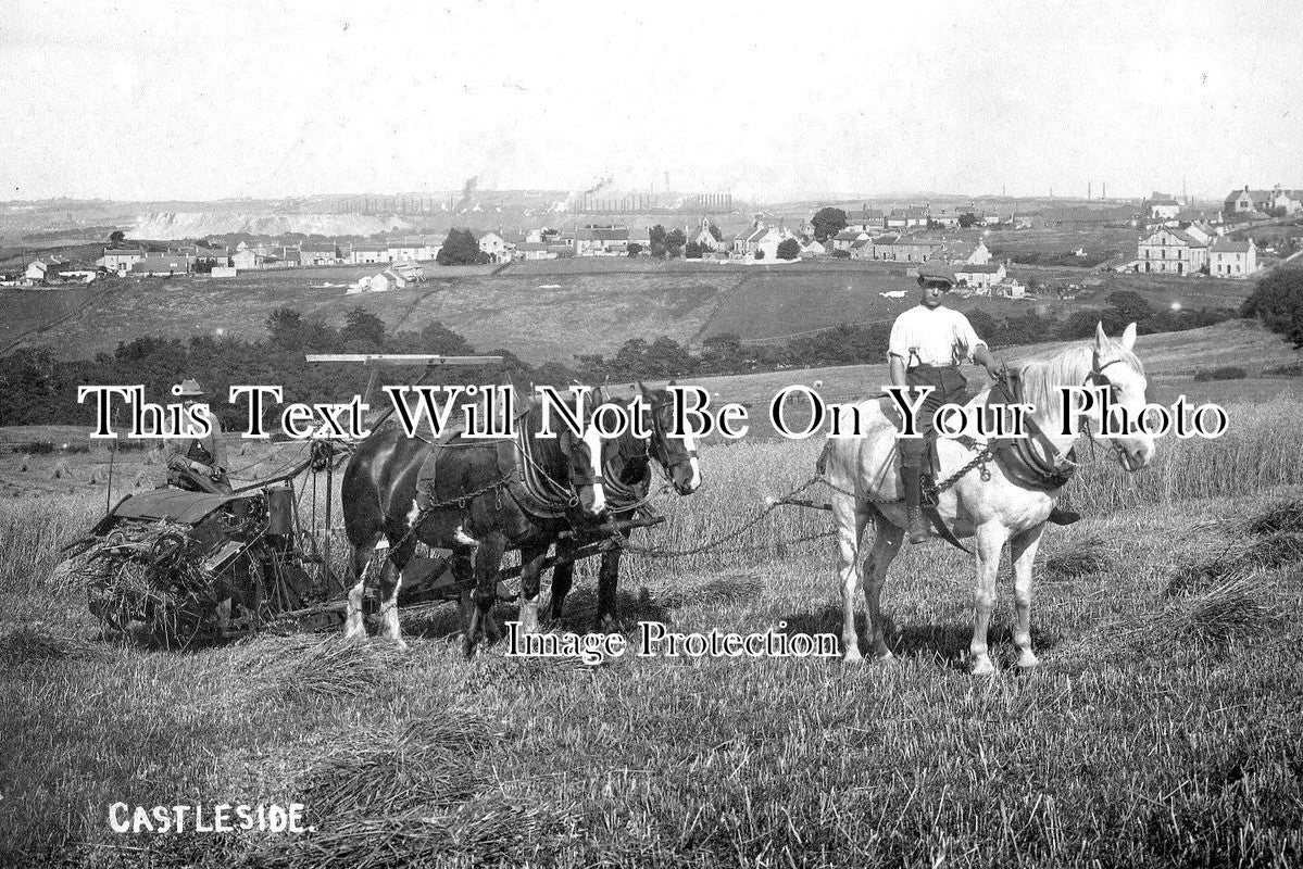 DU 823 - Harvest Time, Castleside, Consett, County Durham