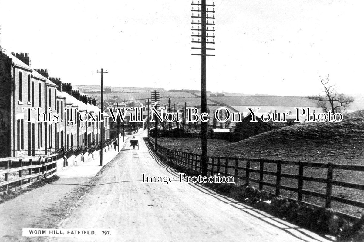 DU 828 - Worm Hill, Fatfield, Washington, Sunderland, County Durham c1911