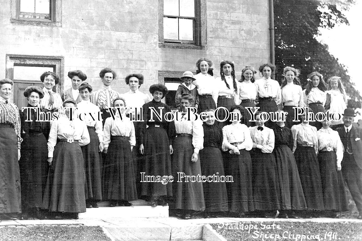 DU 903 - Sheep Clipping, Stanhope Gate, Weardale, County Durham c1911