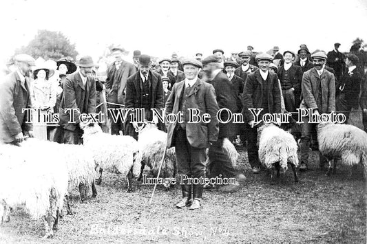 DU 914 - Baldersdale Show, Middleton In Teesdale, County Durham