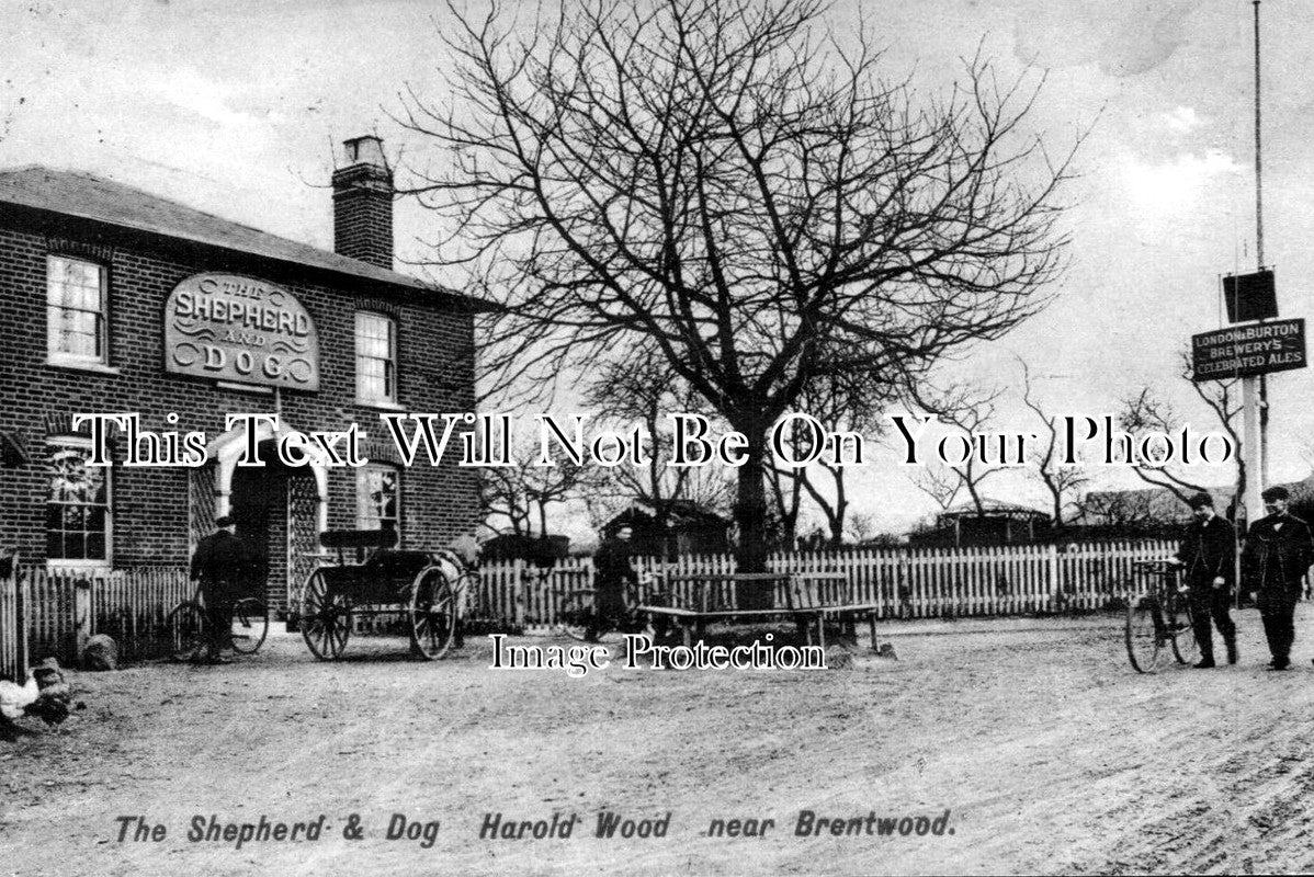 ES 1005 - The Shepherd & Dog Pub, Harold Wood, Essex