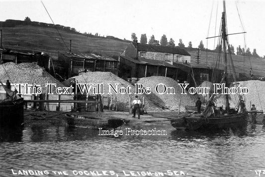 ES 1129 - Landing The Cockles At Leigh On Sea, Essex