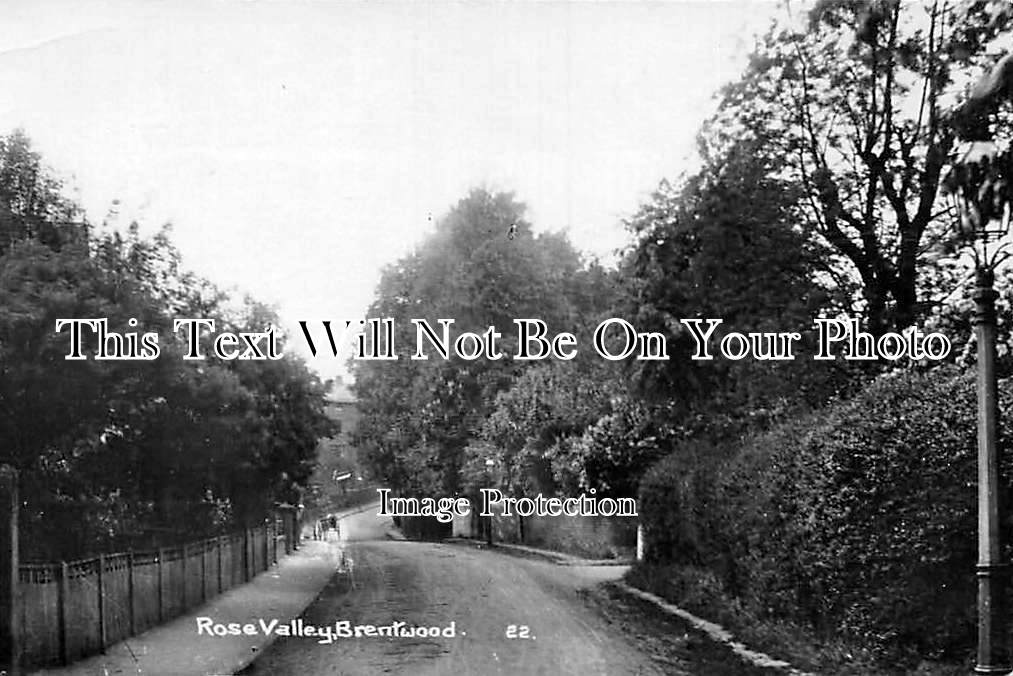 ES 1143 - Rose Valley, Brentwood, Essex c1918