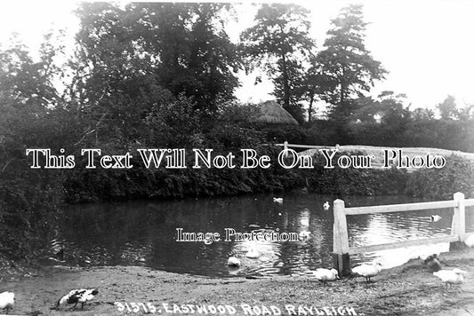 ES 1148 - The Pond, Eastwood Road, Rayleigh, Essex c1912