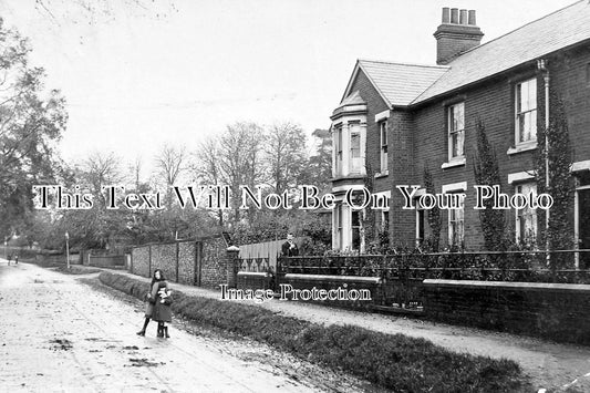 ES 1180 - Bats Hall Terrace, Halstead, Essex c1904