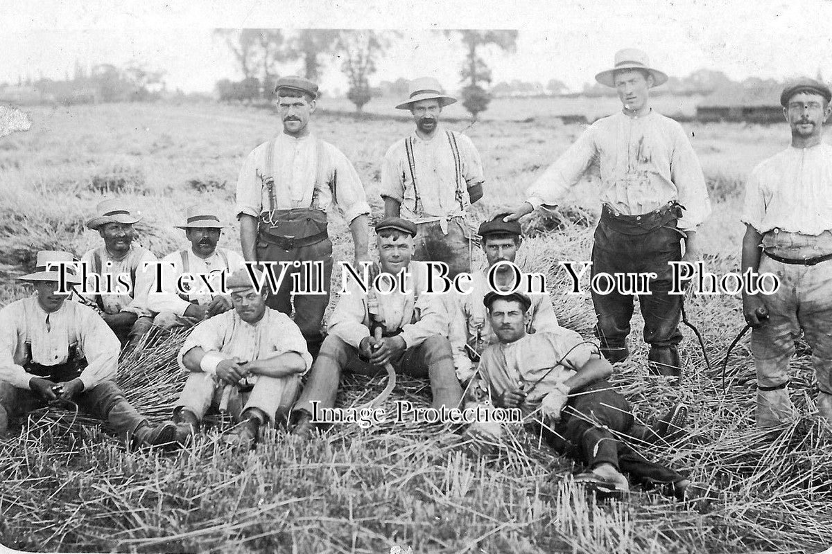 ES 119 - Wix Harvesting Group, Farming, Essex