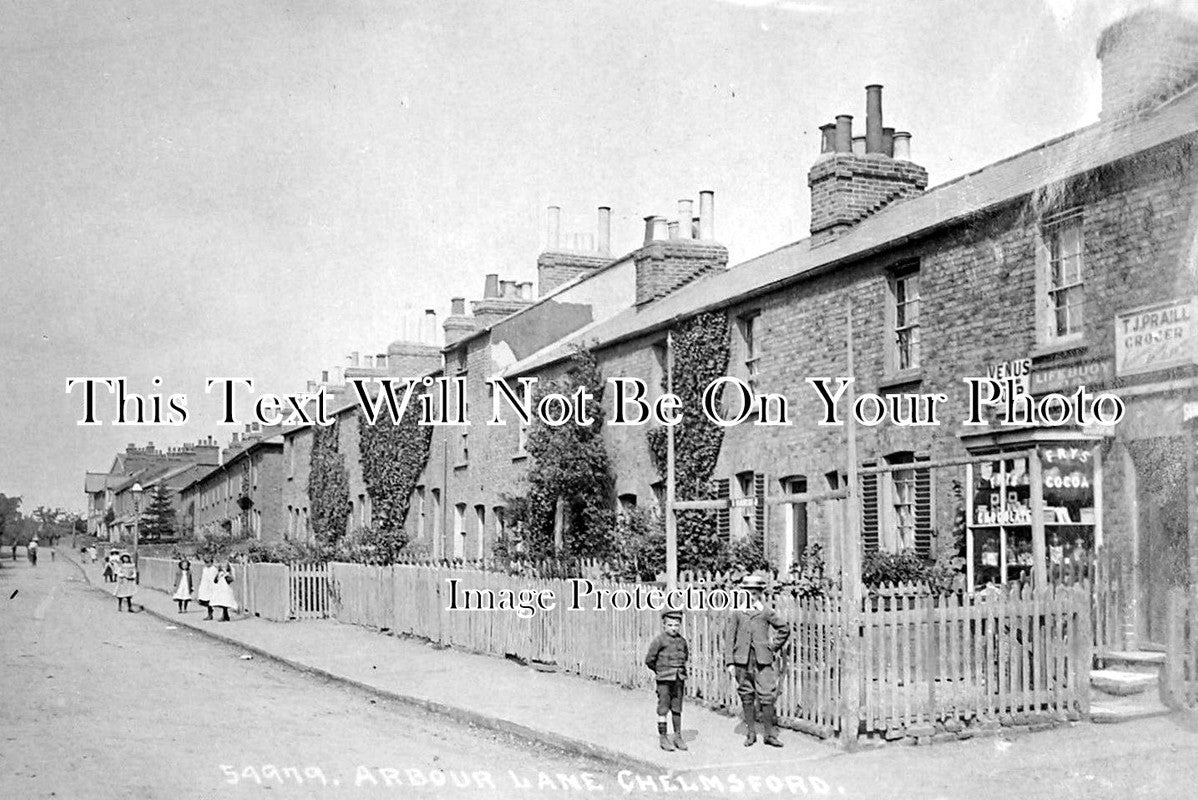 ES 1215 - Arbour Lane, Chelmsford, Essex c1910