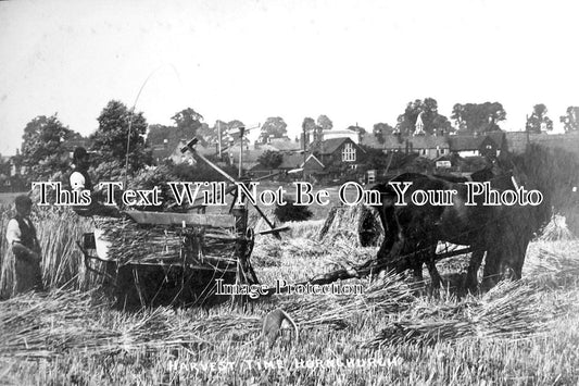 ES 1591 - Harvest Time At Hornchurch, Essex