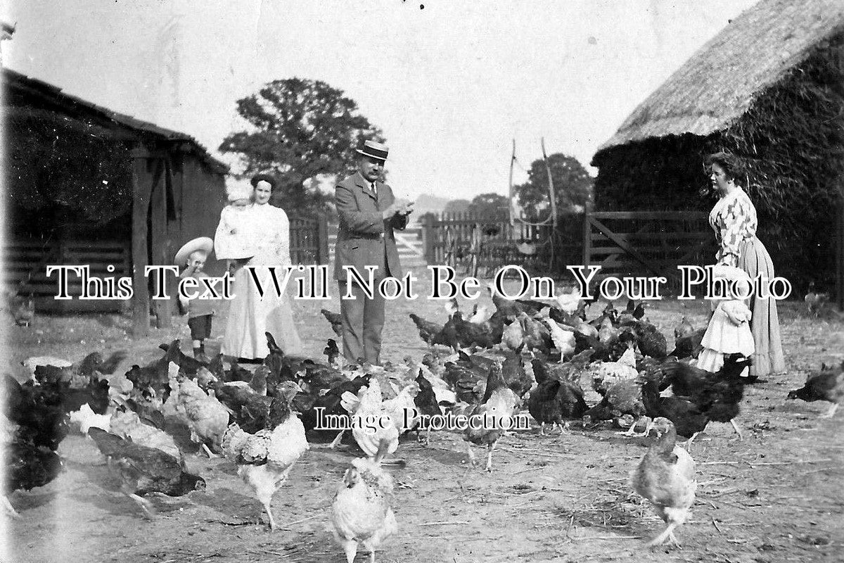 ES 162 - Farm At Abridge, Essex c1906