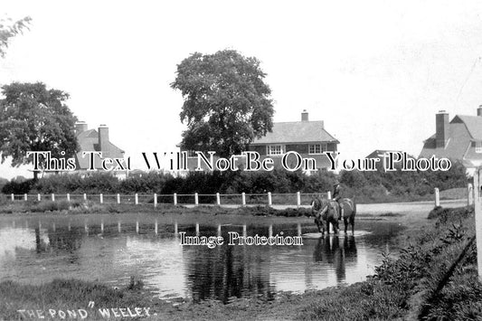 ES 1665 - Weeley Pond, Clacton, Essex