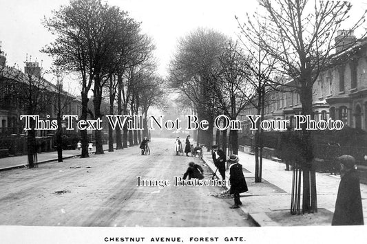 ES 1721 - Chestnut Avenue, Forest Gate, Essex c1909