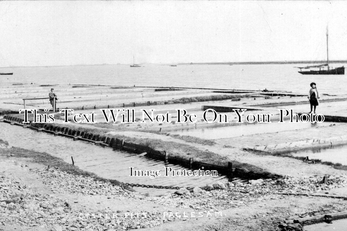 ES 1726 - Oyster Pits, Paglesham, Essex