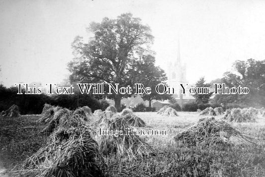 ES 1744 - Harvest Time At Hornchurch, Essex c1910