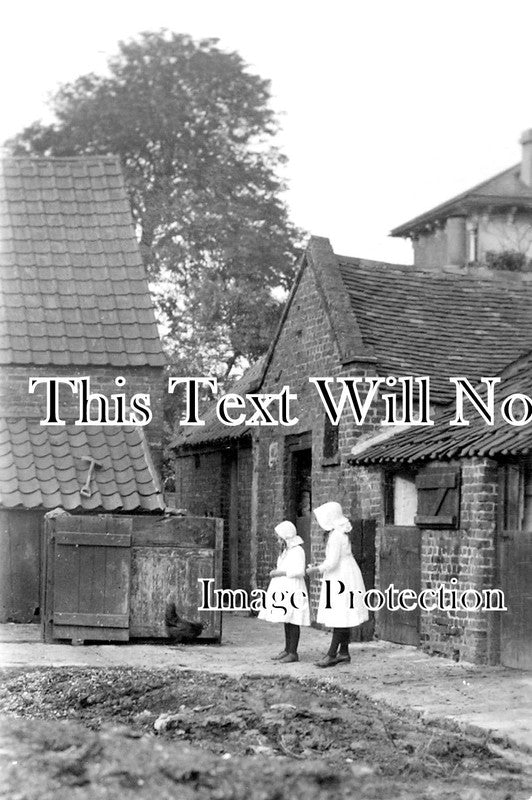 ES 1915 - The Fewer The Better Far Padnall Grove Farm, North Romford, Essex c1913