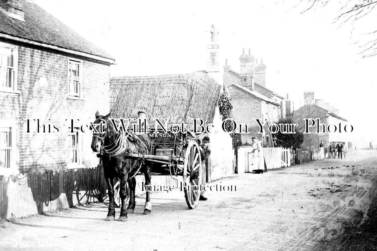 ES 2050 - Wickham Bishops, Essex c1920